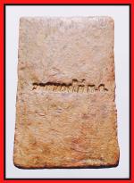 สมเด็จพุทโธวัดหนองไผ่  จ.พิจิตร(1701) #2